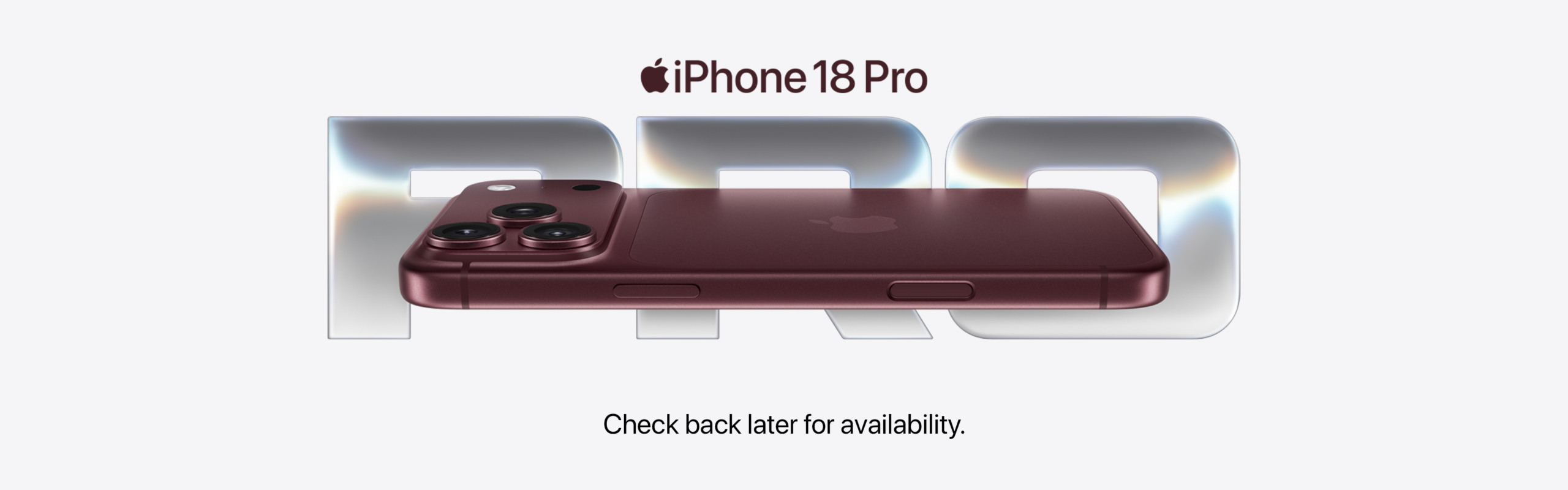 17 CHECK BACK AVAILABILITY